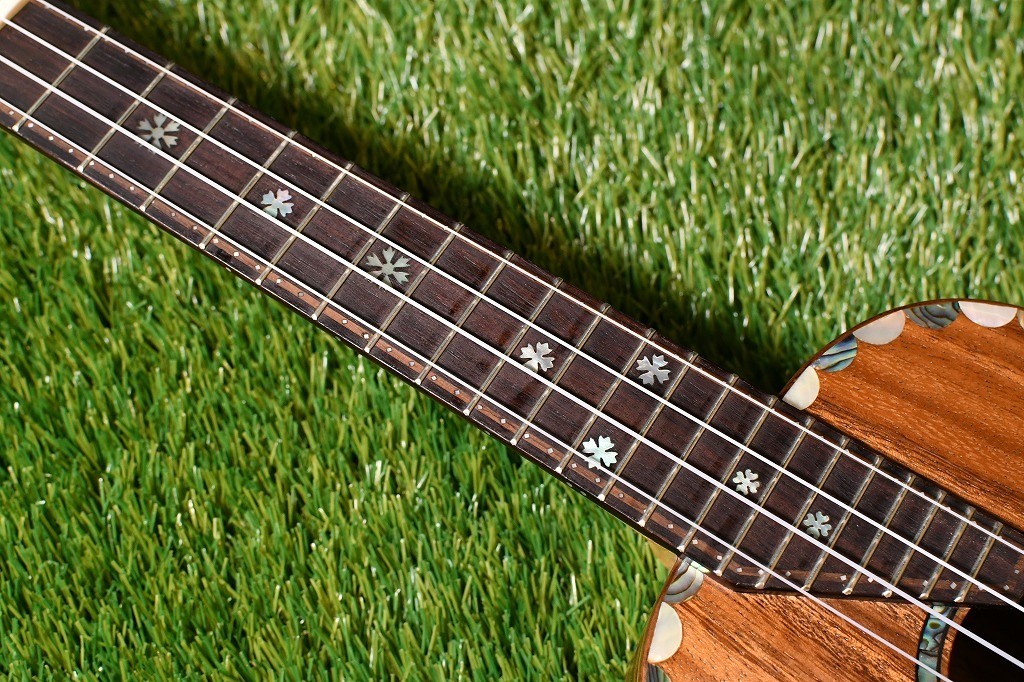 Bruce Wei Bruce Wei UG15 Cocenrt（新品）【楽器検索デジマート】