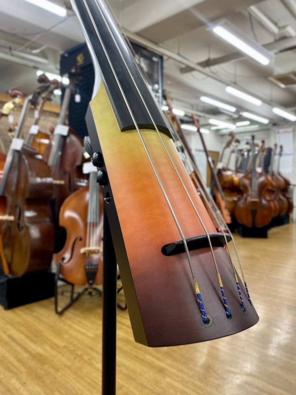 NS Design NXT4a-DB-Autumun【コントラバス本店】（中古/送料無料