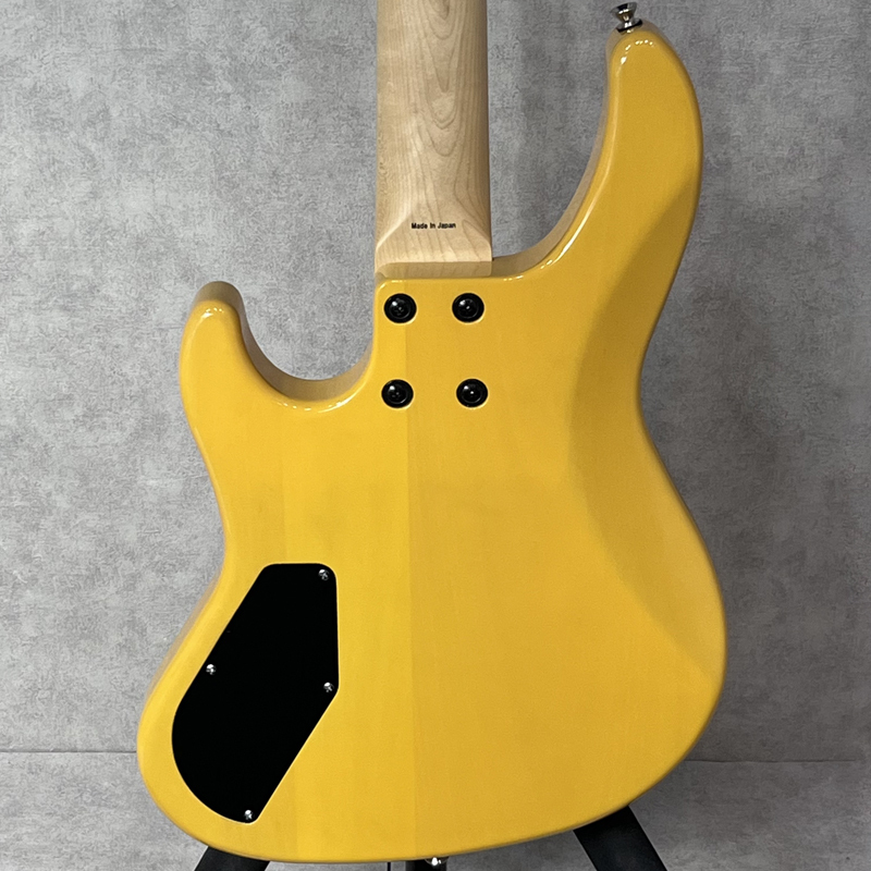 ATELIER Z KenKen Model mini Bass Buddy of Life【加古川店】（中古