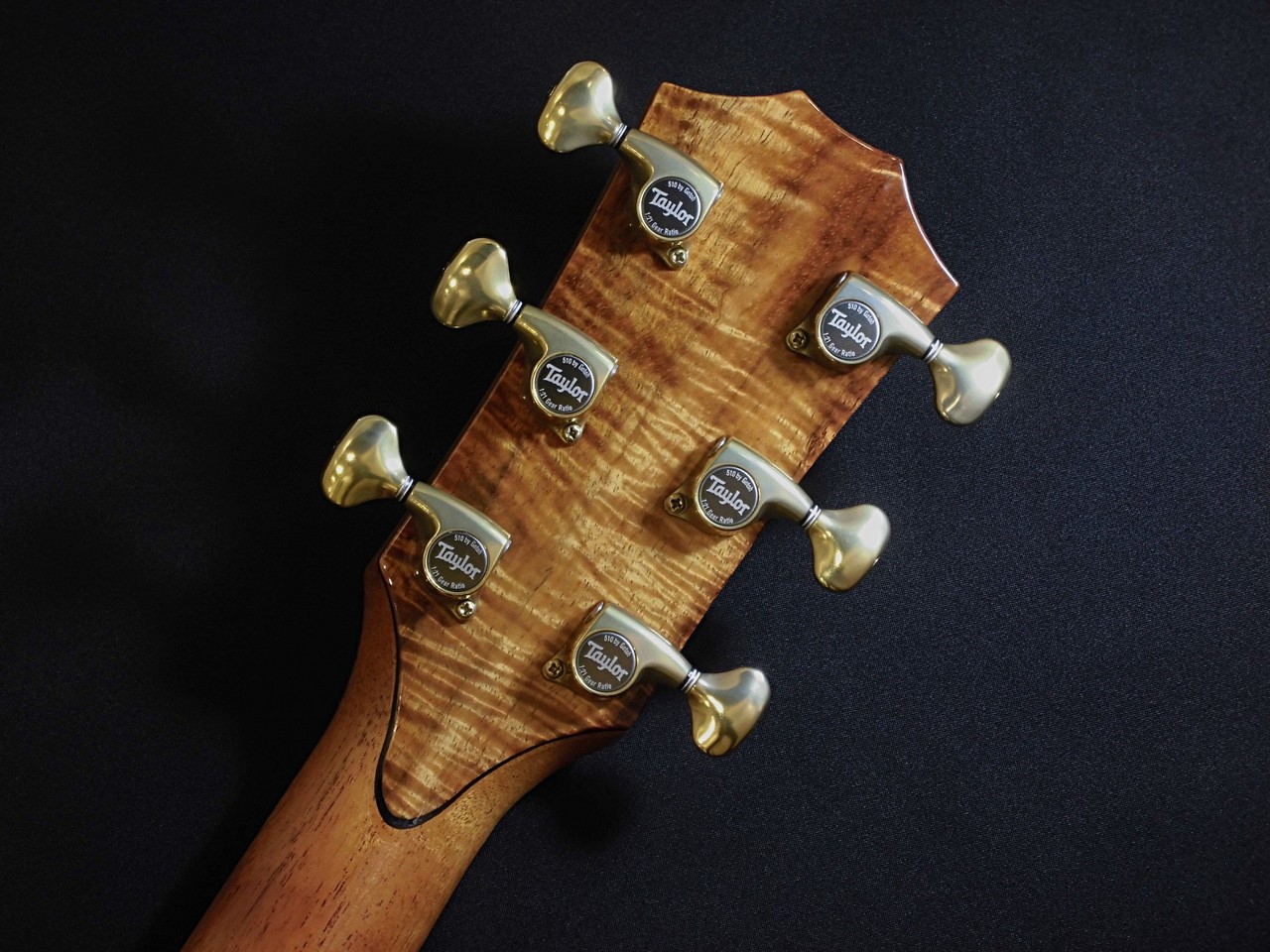 Taylor Custom GAce 