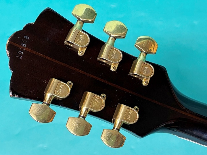 GUILD D-55 NT（ビンテージ）【楽器検索デジマート】