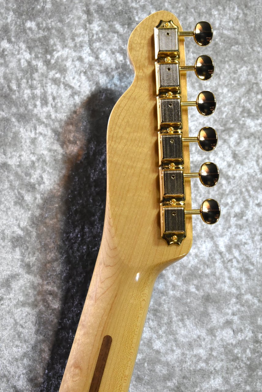 Tokai ATE-101B/G BBR #250631【待望の入荷、漆黒指板、3.69kg】（新品