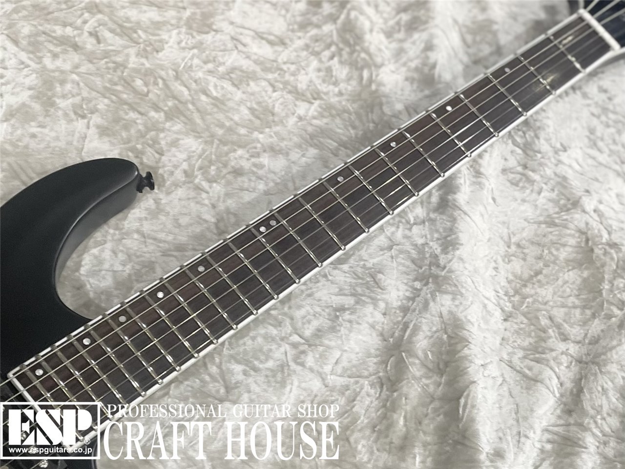 GrassRoots G-HORIZON-FX / Black Satin（新品/送料無料）【楽器