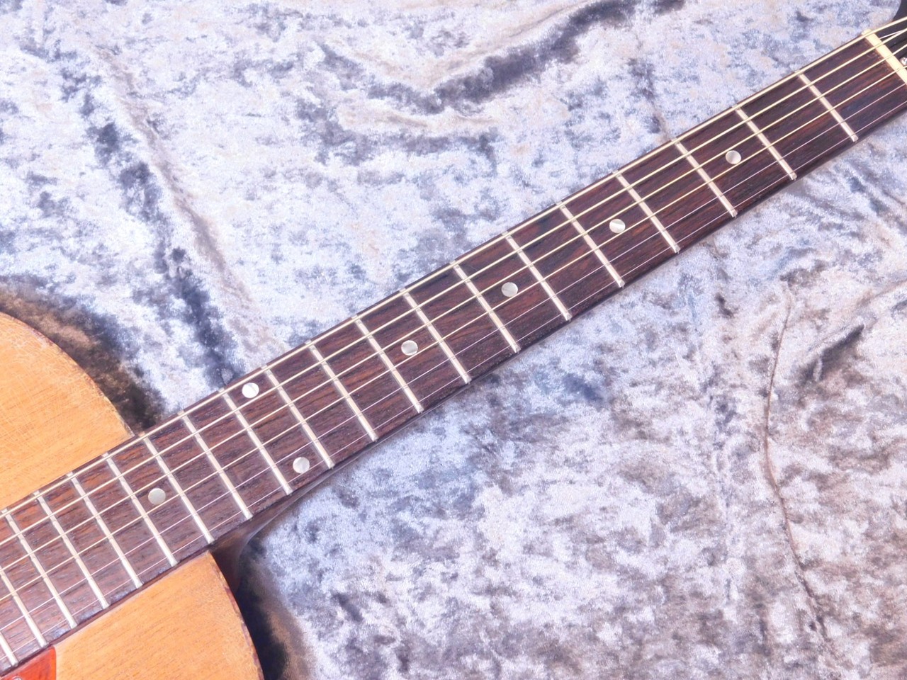 Epiphone FT-30 Caballero '67（ビンテージ）【楽器検索デジマート】