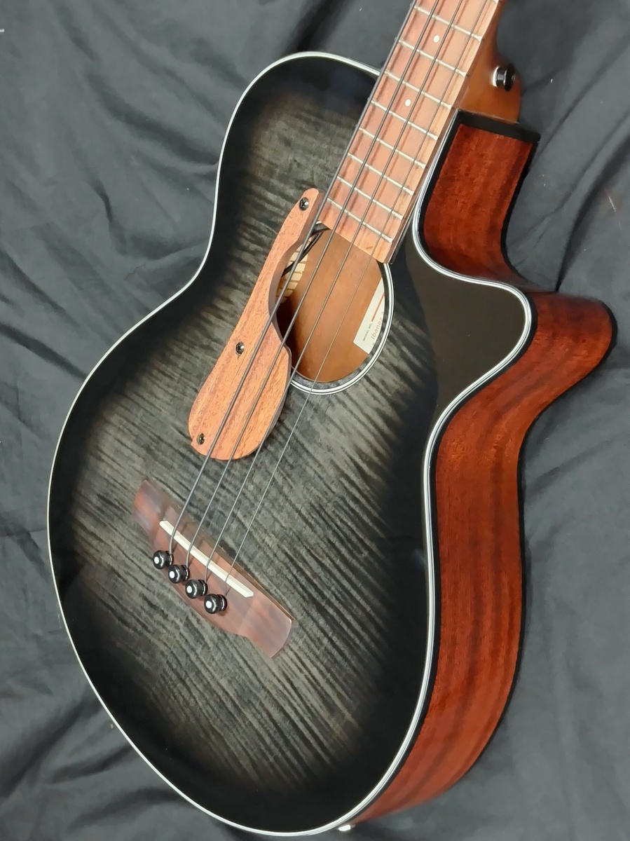 Ibanez AEGB25E-TKH（新品特価）【楽器検索デジマート】