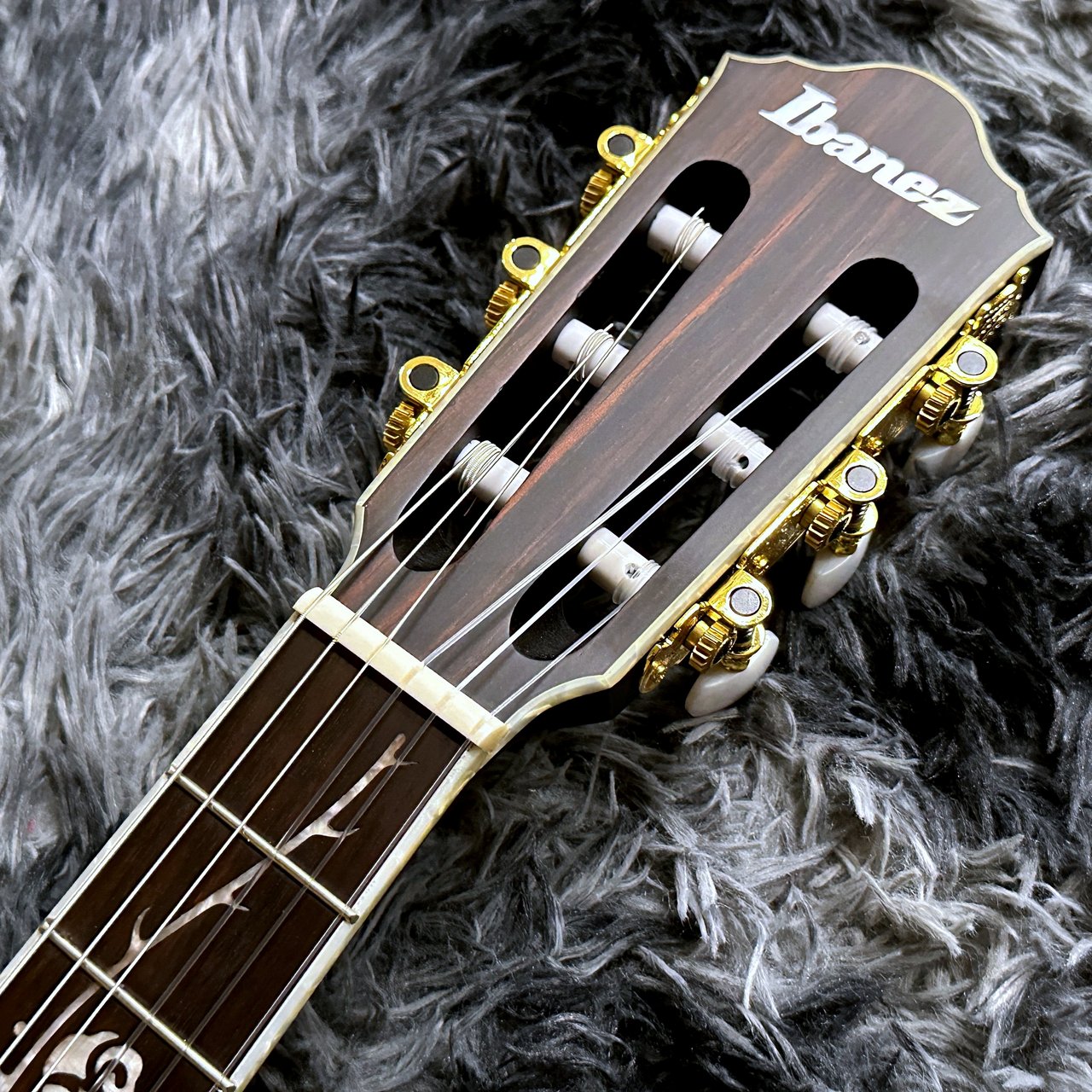 Ibanez TOD10N-TKF (Transparent Black Flat) Tim Henson Signature