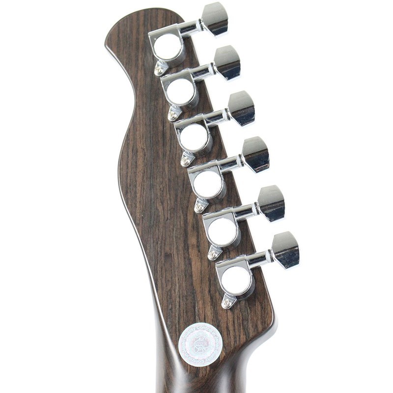 Bacchus Universe Series BTE-TW (NS)（新品）【楽器検索