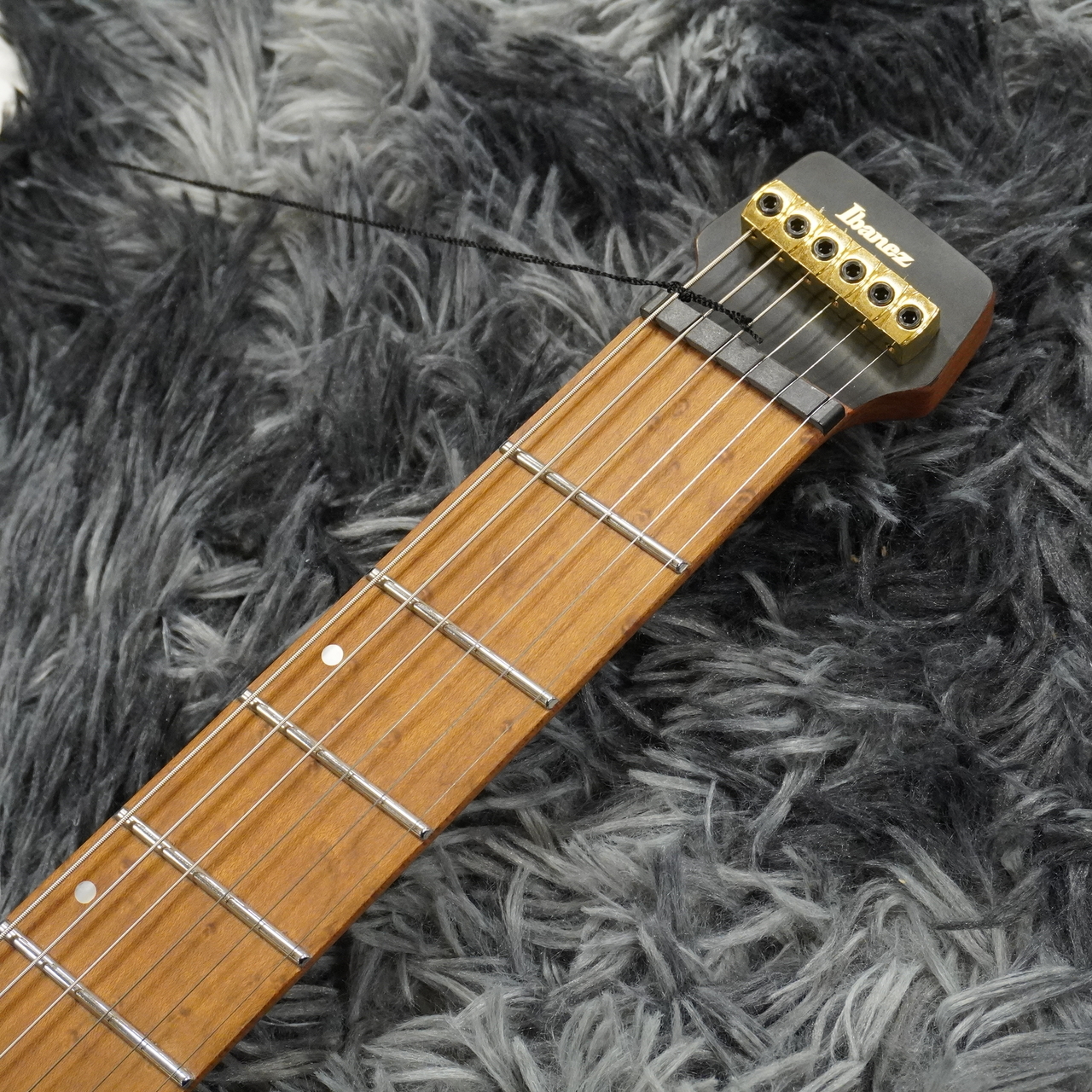 Ibanez MGFM10-OBL (Obsidian Black Low Gloss) Manuel Gardner
