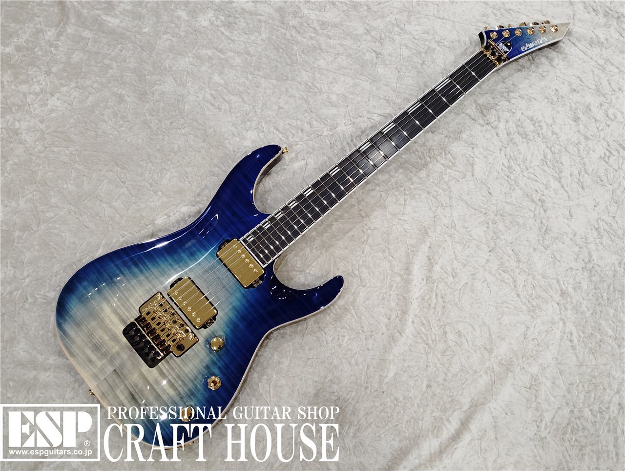 EDWARDS E-HORIZON-CTM 50TH / Black Aqua Burst C / Blue Pearl Back