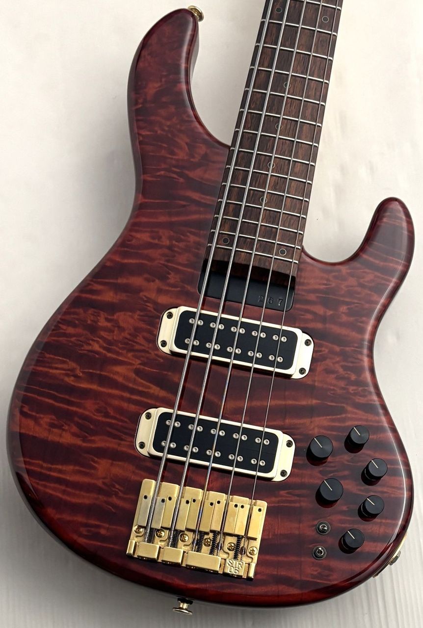 STR GUITARS 【48回無金利】LS549 【USED】（中古）【楽器検索