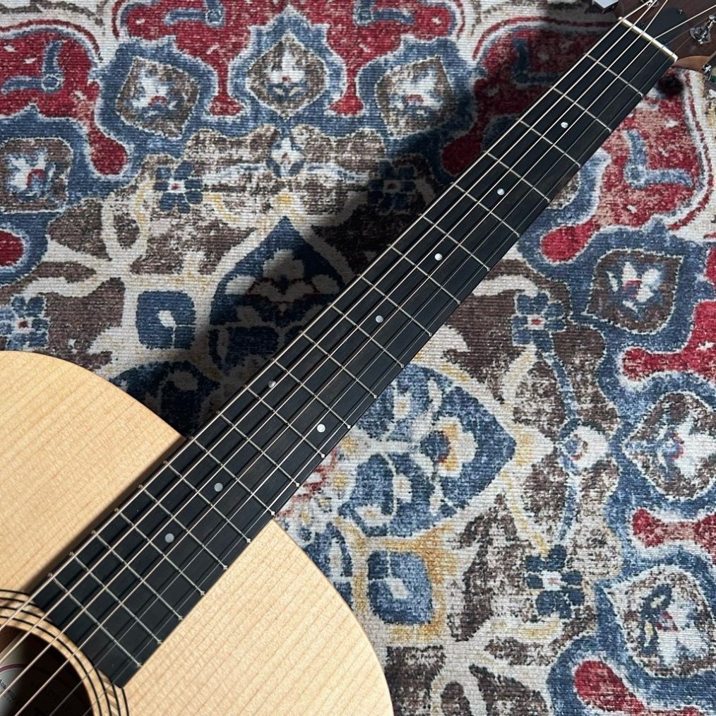 Taylor Academy 10e【現物写真】（新品特価/送料無料）【楽器検索