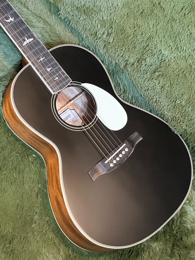 Paul Reed Smith(PRS) SE P20 -Satin Black Top- #E30158【30回