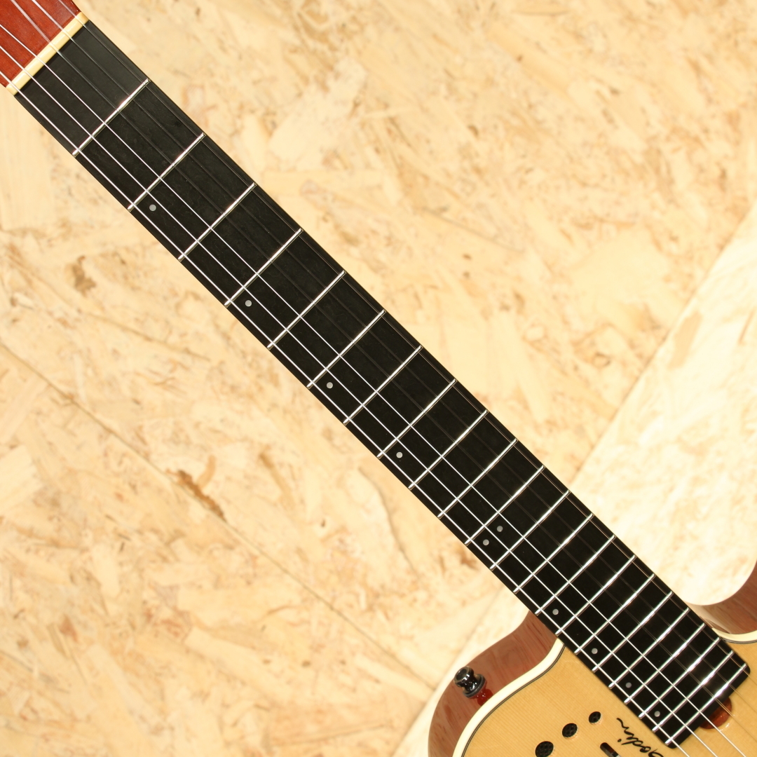 Godin Multiac Nylon Duet Ambiance 2019（中古）【楽器検索デジマート】