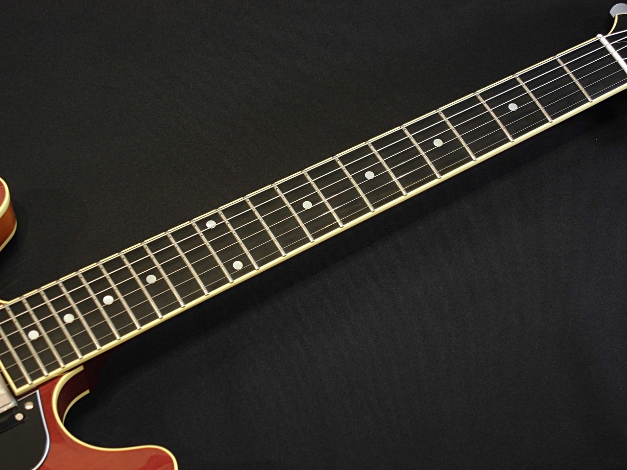 Aria Pro II TA-TONIC / ALB (Almond Burst)【セミアコ】【日本