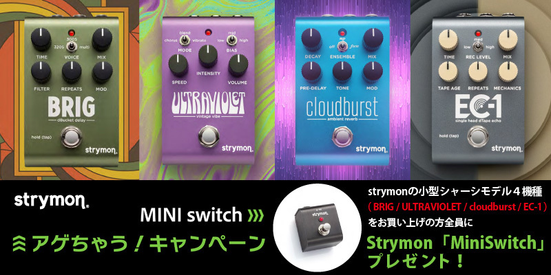 strymon Cloudburst クラウドバースト リバーブ ストライモン