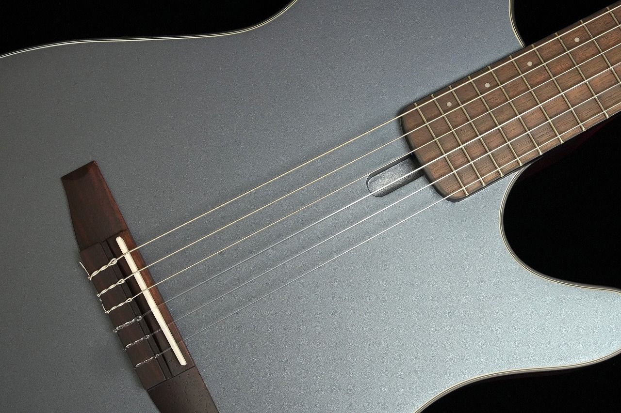 Ibanez FRH10N IBF エレガットギター 限定生産モデル（新品/送料無料