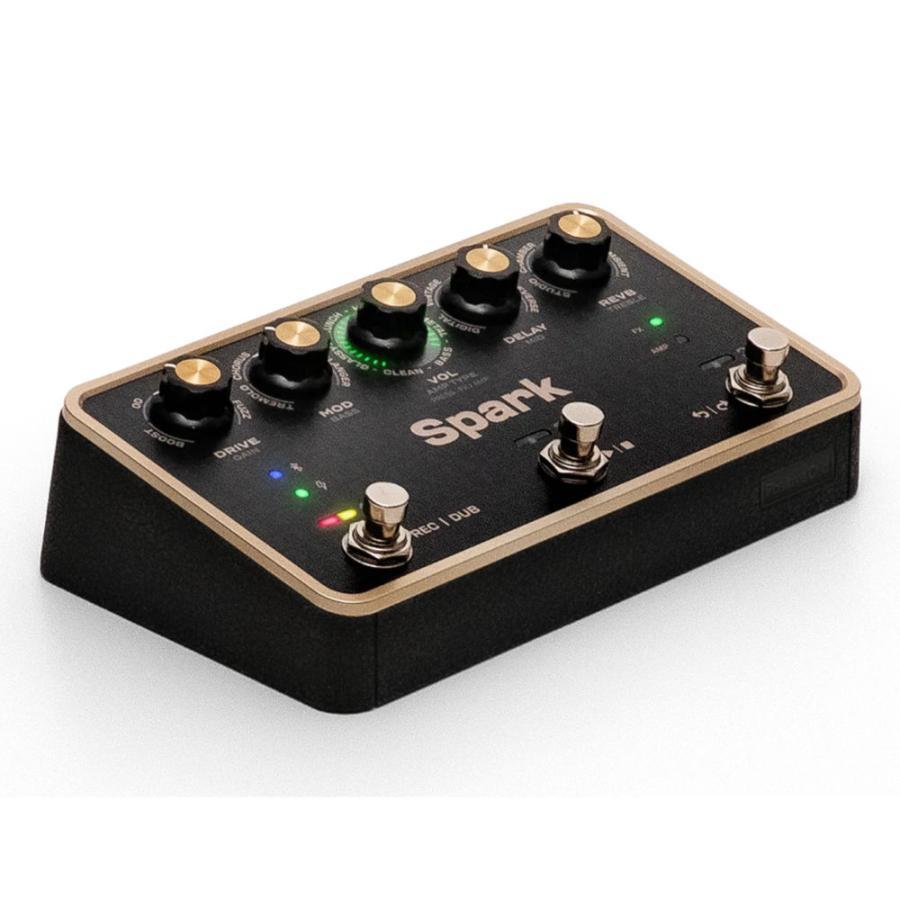 Positive Grid Spark Pedal 사진 5