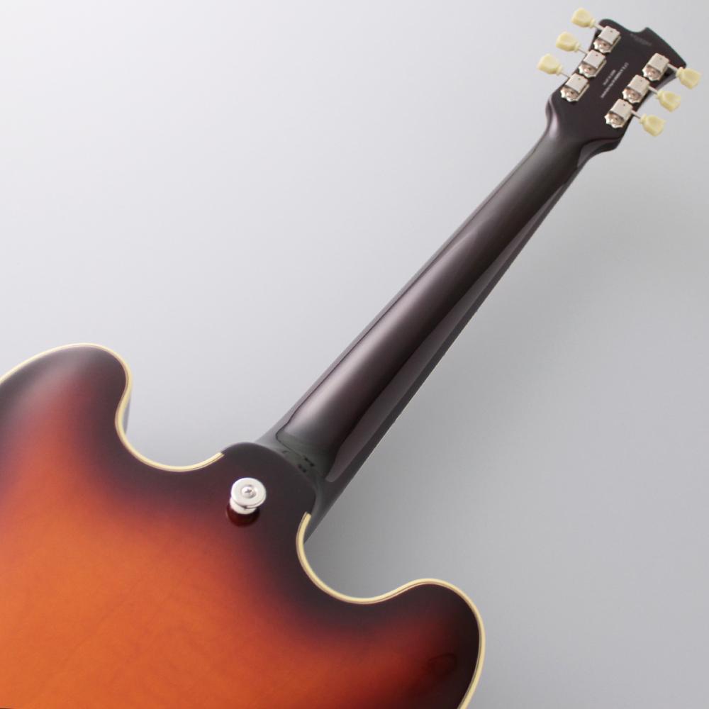 Fujigen フジゲン　MSA-SP セミアコ　mastarfield ギター MSA-SP/AS : Masterfield MSA |MSA-SP/AS : Masterfield MSA