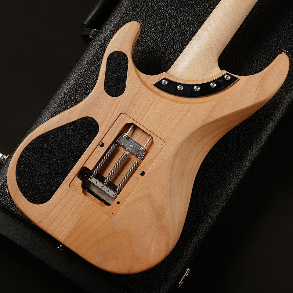 Washburn N4-NUNO VINTAGE #6554【3.17 kg】（新品/送料無料）【楽器