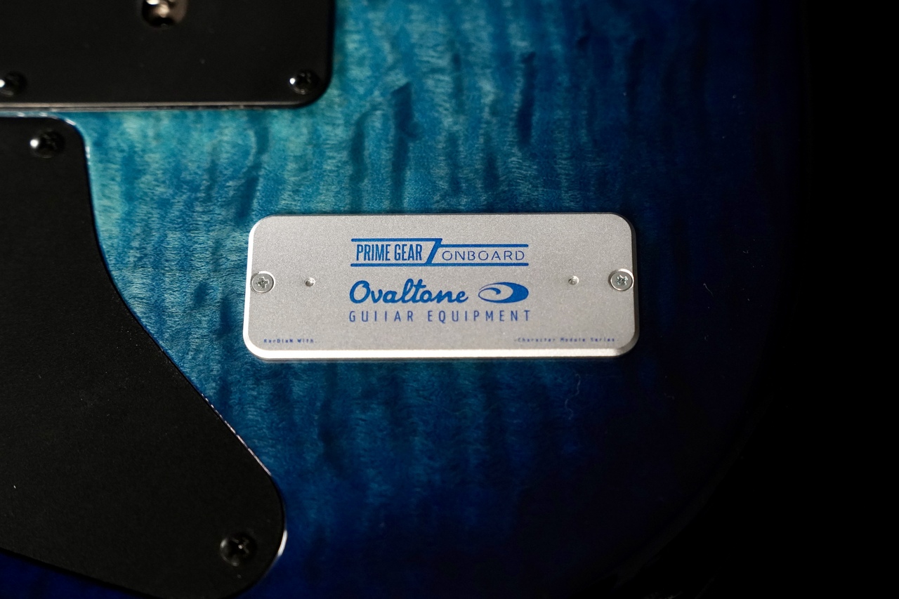 T's Guitars DST-24/5A Exotic Flame Maple Top&Back,BRW FB【T's専用