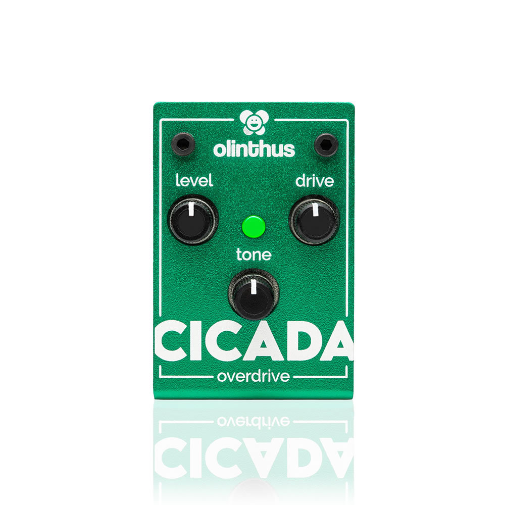Olinthus CICADA【世界最小のTS系エフェクター!】（新品/送料無料