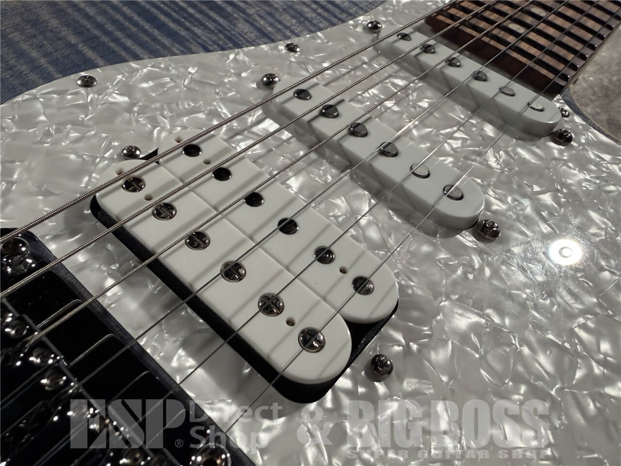 Suhr Standard Plus (Trans Blue Denim / Pau Ferro)（新品/送料無料