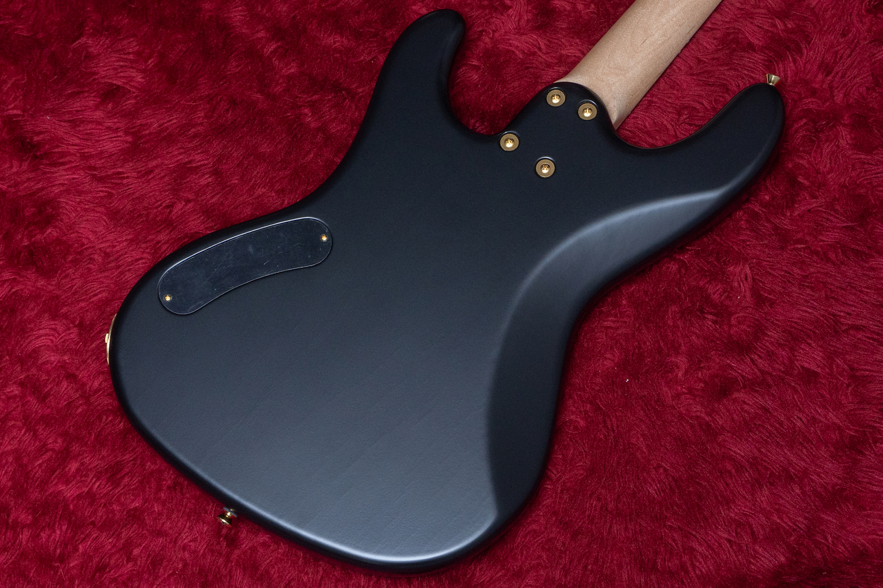 FreedomCustomGuitarResearch Anthra 4st Freedom Custom Guitar