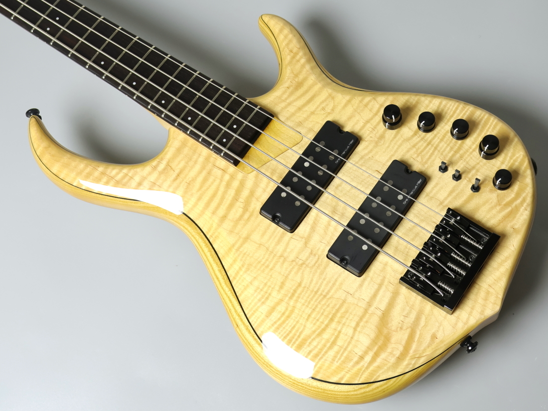 ベース Sire M7 Ash 4st 2nd Generation M7 Ash 4st 2nd Generation