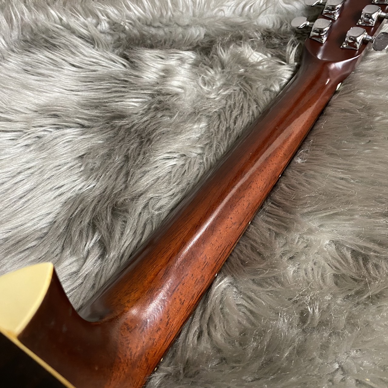 Morris W-20【ジャンク】【現物画像】（中古）【楽器検索