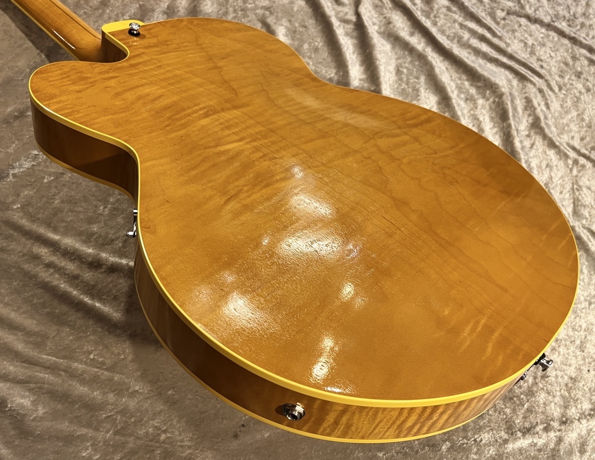 KING SNAKE 【NEW】Two Bone T Amber Natural TBT-034 [2.76kg]【G