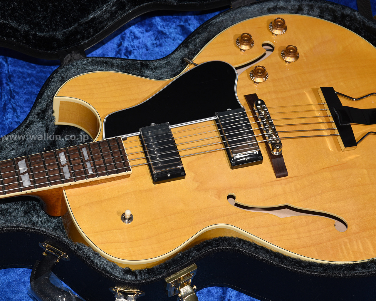 Archtop Tribute AT205MD（新品）【楽器検索デジマート】