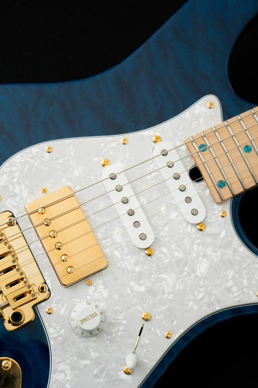 ギター T's Guitars DST Classic-24f T's Guitars DST-Classic24 Wood-PG S/N：033164 【サウンド