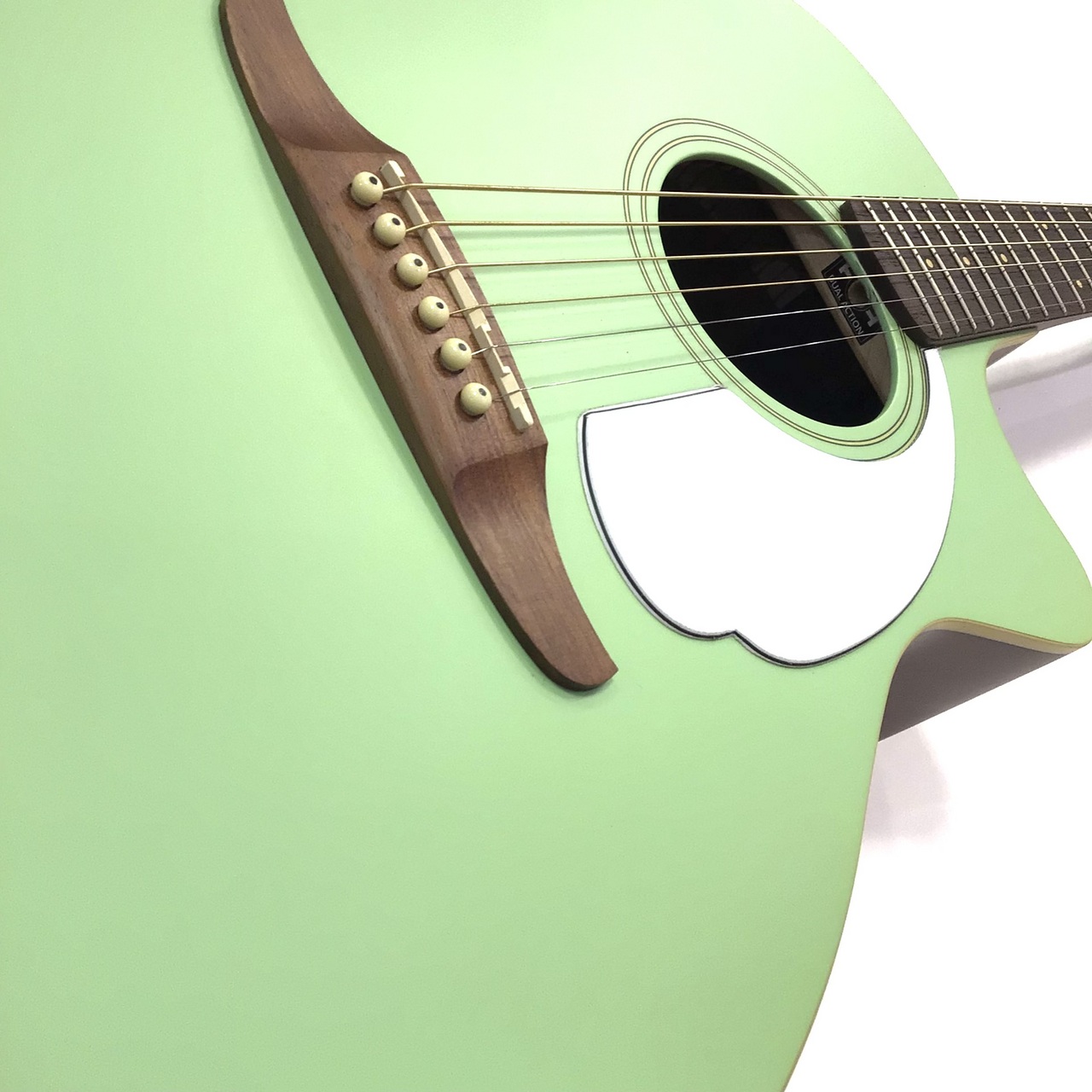 Fender NEWPORTER PLAYER / SFG 【エレアコ】（新品特価/送料無料