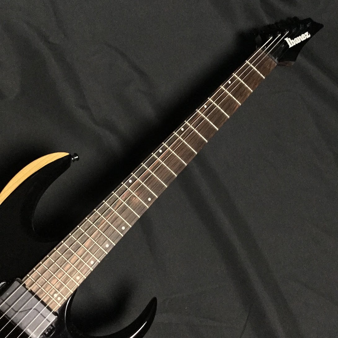 Ibanez RGD61ALA Midnight Tropical Rainforest（新品/送料無料