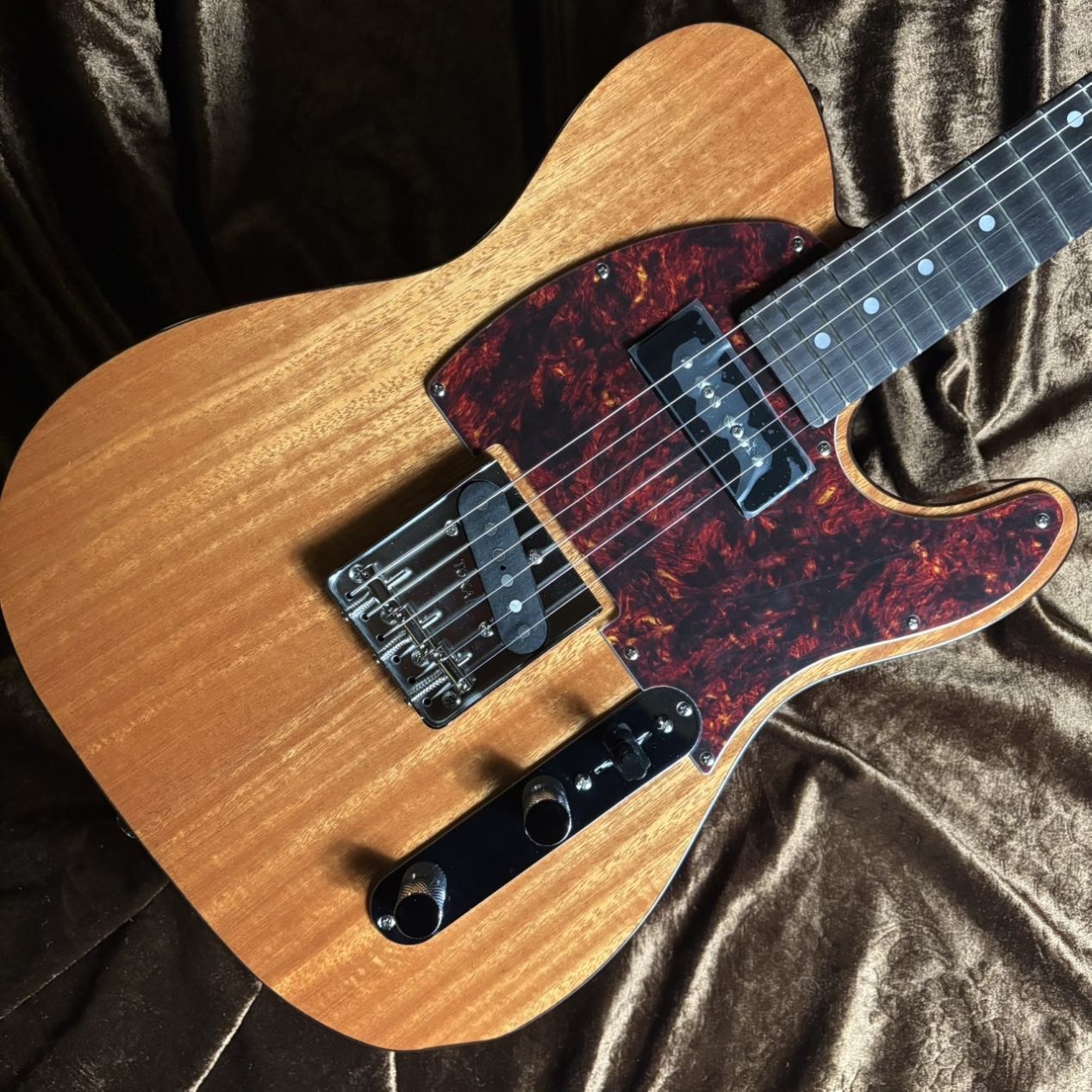 Tokai 《現物画像 / 迅速発送！》ATE103S N（新品/送料無料）【楽器