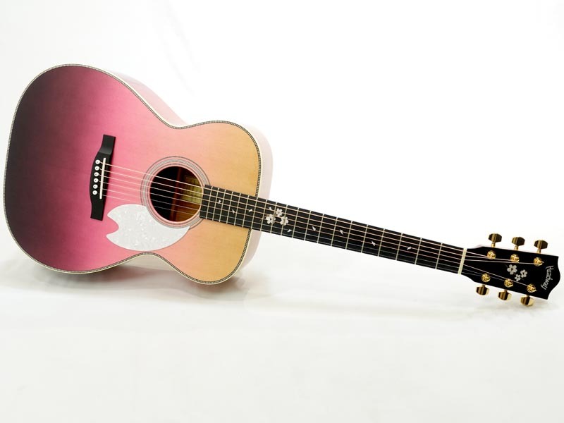 キュートなアコースティックギター Www Elsahariano Com