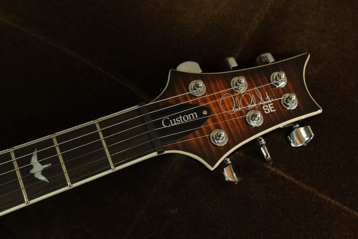 Paul Reed Smith(PRS) SE Custom 24 Semi-Hollow Piezo