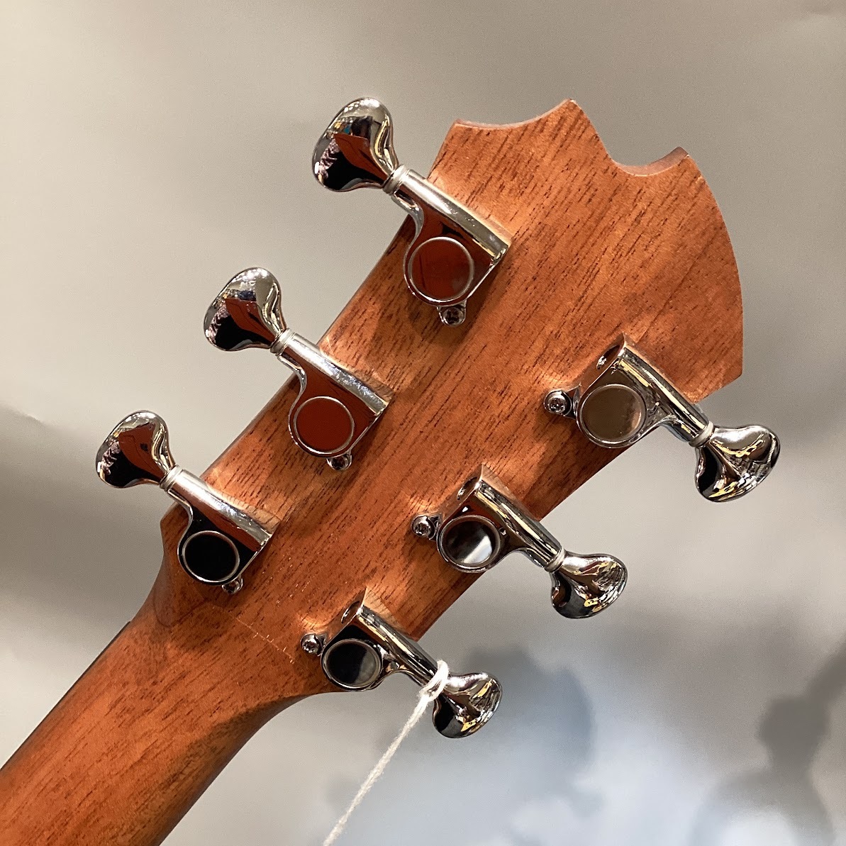 James J-100A SPT アコースティックギター ギグケース付属 スプルース