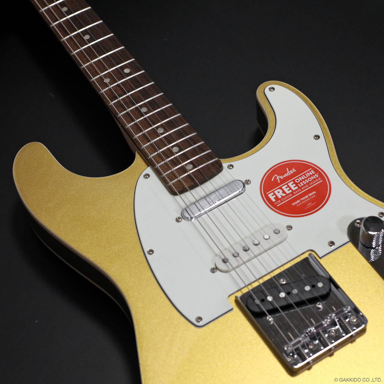 Squier by Fender Paranormal Custom Nashville Stratocaster [Aztec