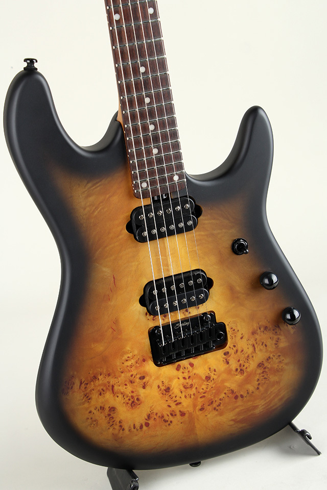 Sterling by MUSIC MAN Richardson6 Natural Poplar Burl Burst（新品