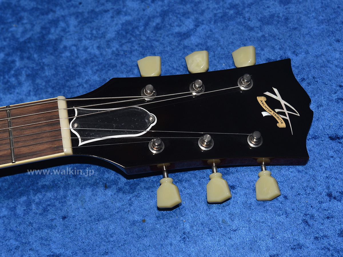 Archtop Tribute AT135TTP（新品）【楽器検索デジマート】