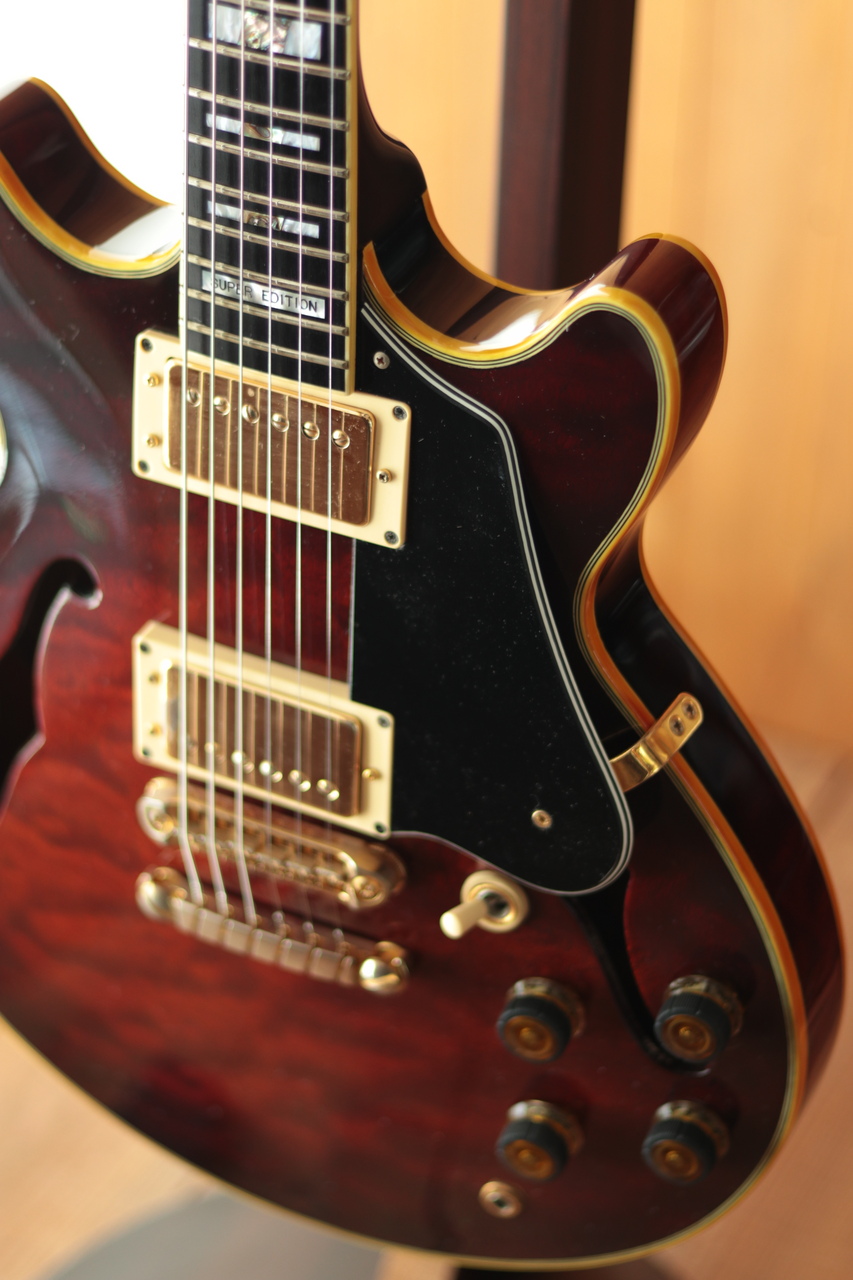Ibanez AM-205AV（中古/送料無料）【楽器検索デジマート】
