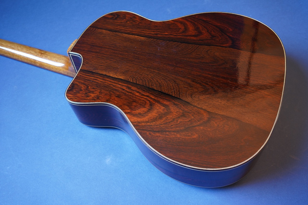 Stringphonic Advanced Oval 10th Anniversary（新品/送料無料）【楽器