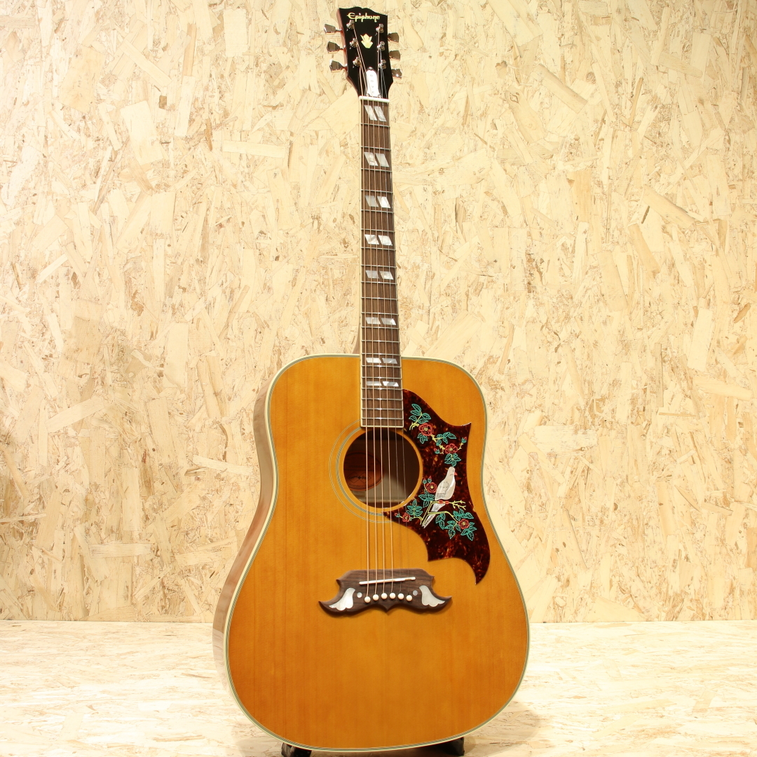 【プレゼント当選品】Epiphone DOVE NAアコースティックギター Epiphone 【数量限定エピフォン・アクセサリーパックプレゼント