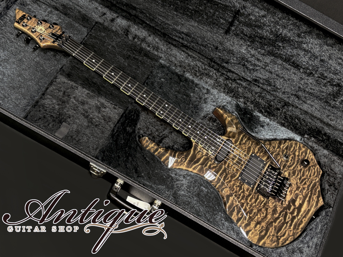 エレキギター Edwards Pierrot Aiji? ケース付 エレキギター Edwards Pierrot Aiji? ケース付 EDWARDS by ESP