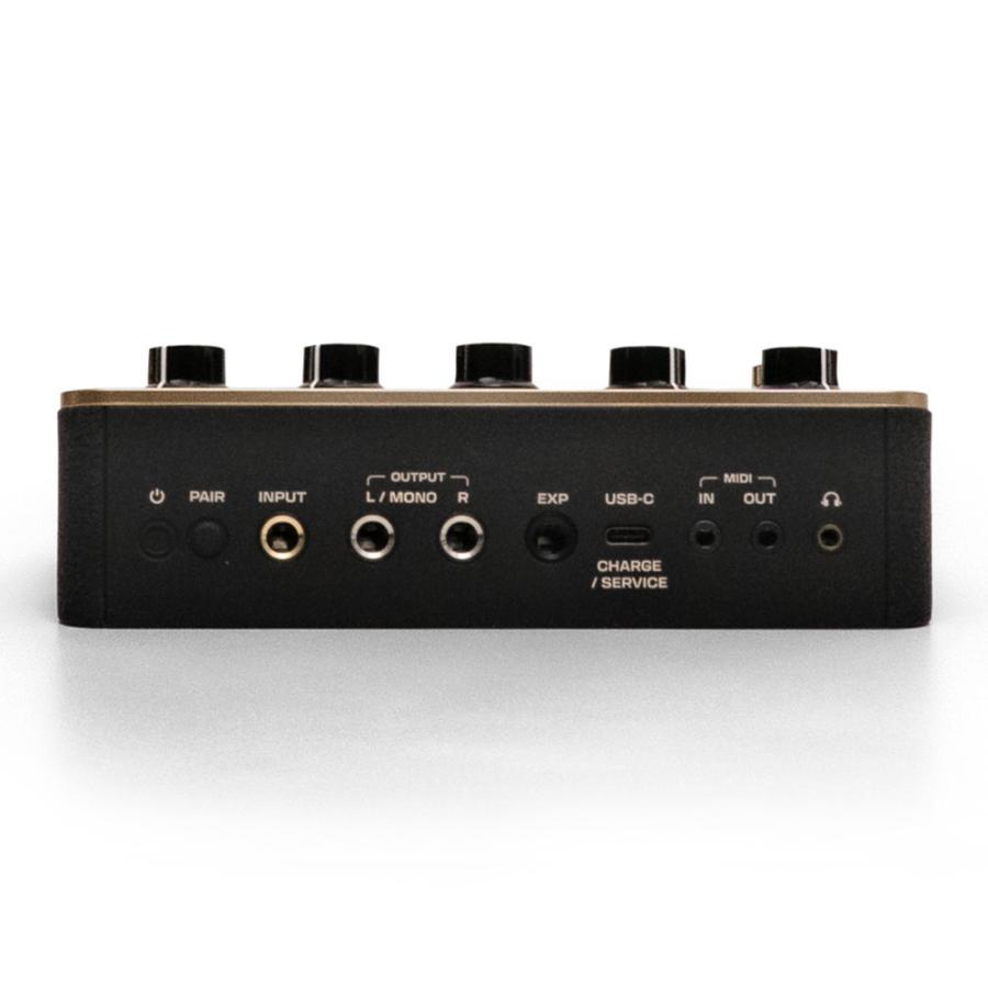 Positive Grid Spark Pedal 사진 2