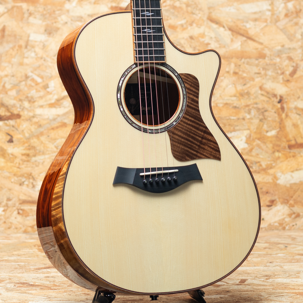 Taylor Custom GC Adirondack Spruce × Cocobolo（新品）【楽器検索