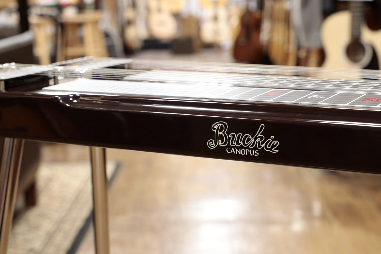 Canopusの名器Buckie 6弦スチールギター （canopus 