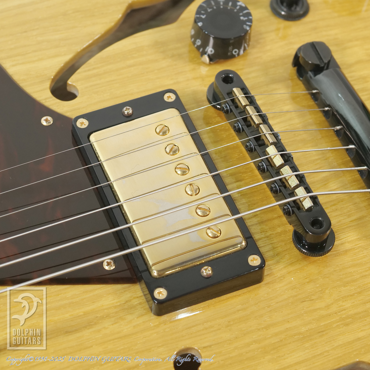 Seventy Seven Guitars ALBATROSS-KORINA HH-SP'24/NJ（新品）【楽器