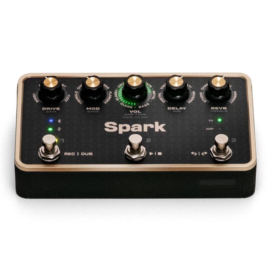 Positive Grid Spark Pedal 사진 3